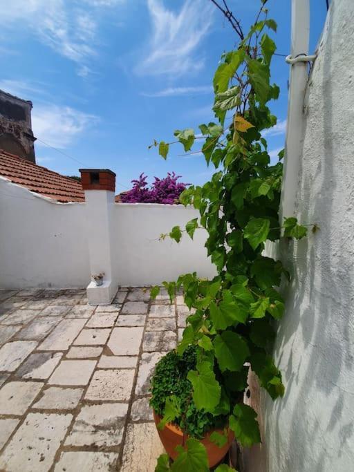 Rooftop - Near The Historic Center Dubrovnik